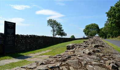 Banks East Turret; Hadrian's Wall