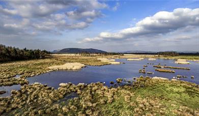 Views at Foulshaw Moss Nature Reserve in Witherslack, Cumbria