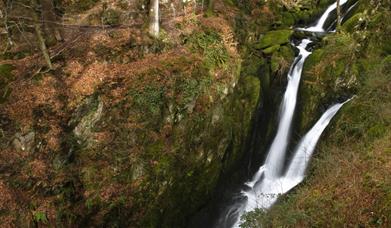 Stock Ghyll Force near Ambleside, Lake District