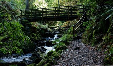 Stanley Ghyll