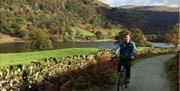 Cyclist Riding Through the Countryside on a Cycling Holiday in the Lake District, Cumbria from The Carter Company