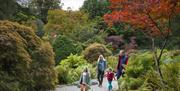 Family days out and walking routes at Sizergh Castle, Lake District © National Trust Images