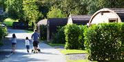 Family Holidays at Hill of Oaks Holiday Park in Windermere, Lake District