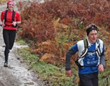 Grizedale Forest Half and Full Trail Marathon