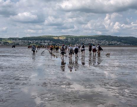 Morecambe Bay Walk for Hearing Dogs