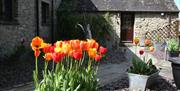 Flowers and Garden at Birslack Cottage in Levens, Cumbria