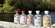 Gin Product Ranges at Shed 1 Distillery in Ulverston, Cumbria