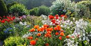 Gardens in Bloom at Hutton-in-the-Forest Historic House near Penrith, Cumbria