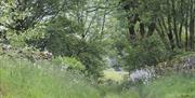 Walking Trails near Isaacs Byre Holiday Cottage near Alston, Cumbria