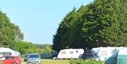 Camping and Touring at Solway Holiday Village in Silloth, Cumbria