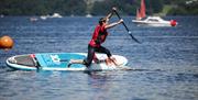 Visitor Jumps into Lake Windermere from a Paddleboard from Windermere Canoe Kayak in the Lake District, Cumbria