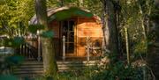 Woodland glamping at Hill of Oaks Holiday Park in Windermere, Lake District