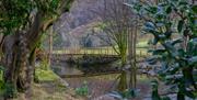 Views and Walks near Victorian House Hotel in Grasmere, Lake District