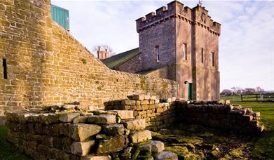 See Forts on Hadrian's Wall Luxury Guided Day Tour with Avanti Ventures in Cumbria