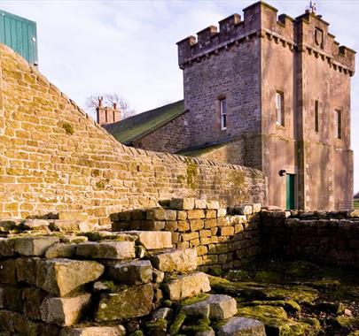 See Forts on Hadrian's Wall Luxury Guided Day Tour with Avanti Ventures in Cumbria