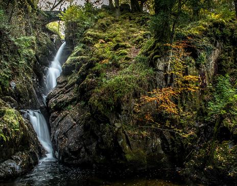 Beautiful natural scenery at Aira Force Waterfall in Matterdale, Lake District © National Trust Images, John Malley