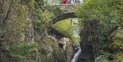 Bridge and viewpoint at Aira Force Waterfall in Matterdale, Lake District © National Trust Images, Stewart Smith