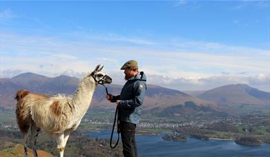 Llama Trekking at Little Town with Alpacaly Ever After