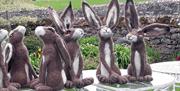 Felt Rabbits at Greystoke Craft Garden & Barns in Penrith, Cumbria