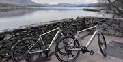 Mountain Bikes from Arragon's Cycle Centre in Penrith, Cumbria