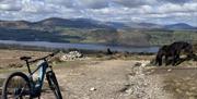 Mountain Bike from Arragon's Cycle Centre in Penrith, Cumbria Against a Scenic Lake District Background