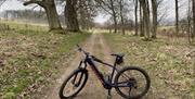 Mountain Bike from Arragon's Cycle Hire at Lowther Castle in Penrith, Cumbria