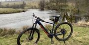 A Mountain Bike from Arragon's Cycle Hire at Lowther Castle in Penrith, Cumbria