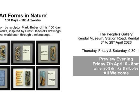 Advert for "Art Forms in Nature" Exhibition at The People's Gallery at Kendal Museum in Kendal, Cumbria