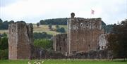 Brougham Castle on the Conquering Cumbria tour with Cumbria Tourist Guides