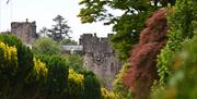 Gardens at Muncaster Castle on tours with Cumbria Tourist Guides