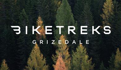 Logo for BikeTreks Grizedale in Grizedale Forest in the Lake District, Cumbria