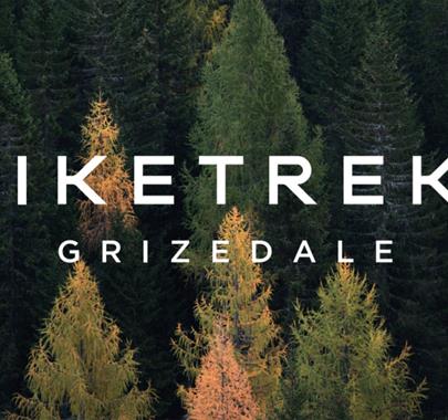 Logo for BikeTreks Grizedale in Grizedale Forest in the Lake District, Cumbria