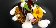 Beech Hill Hotel & Lakeview Spa - Burlington's Restaurant - Goats Cheese and Beetroot Canneloni