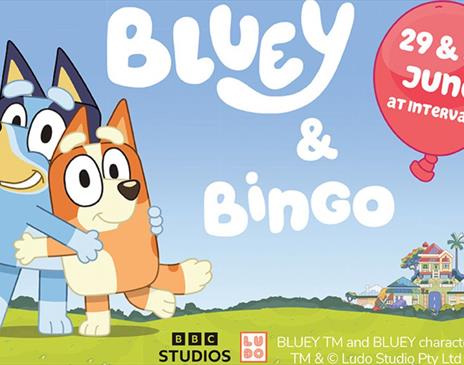 Poster for Bluey and Bingo at the Ravenglass and Eskdale Railway in Ravenglass, Cumbria
