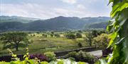 Stunning views from Manesty Holiday Cottages in Manesty, Lake District