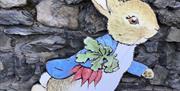 Peter Rabbit in Bowness-on-Windermere on A Tale of Beatrix Potter tour with Cumbria Tourist Guides