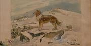 Illustration of Beatrix Potter's Sheepdog, Keb, seen on A Tale of Beatrix Potter tour with Cumbria Tourist Guides
