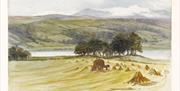 Harvest Scene by Beatrix Potter on A Tale of Beatrix Potter tour with Cumbria Tourist Guides