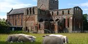 Lanercost Priory on the Sacred Spaces tour with Cumbria Tourist Guides