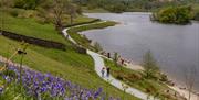 Bluebells and Path at Rydal Water on the Wonders of Wordsworth with Cumbria Tourist Guides