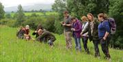 Wildlife and Nature Walk with Cumbria Wildlife Trust in the Lake District & Cumbria