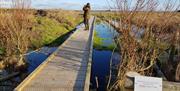 Walking Platforms at South Walney Nature Reserve at Barrow-in-Furness in Cumbria