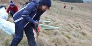 Blanting Trees with Wild Work Days with Cumbria Wildlife Trust