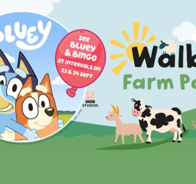 Poster for Bluey & Bingo are coming to Walby Farm Park near Carlisle, Cumbria