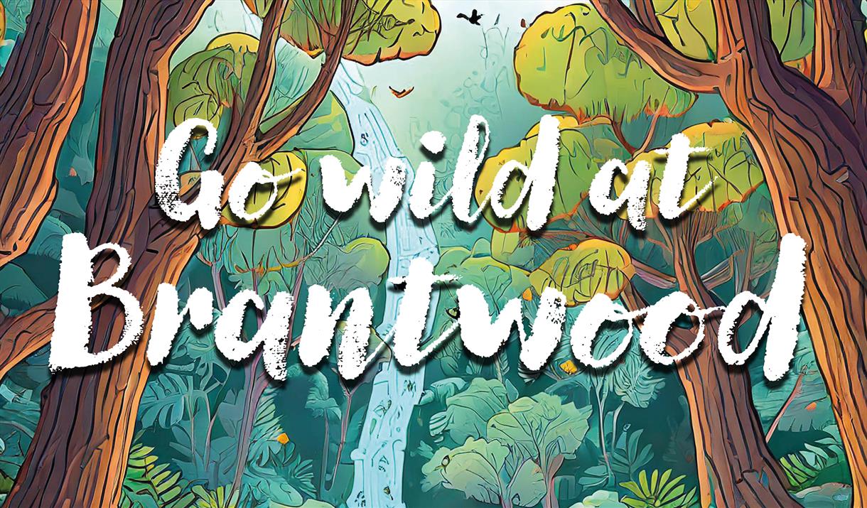 Go Wild! at Brantwood this half term