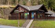 Cyclewise in Whinlatter Forest in the Lake District, Cumbria