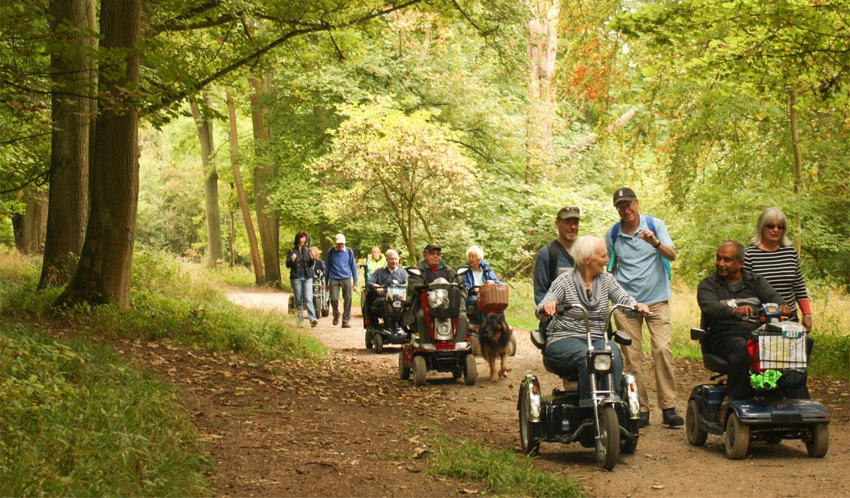 Whinlatter Forest Park's "Wow Route" with The Disabled Ramblers in the Lake District, Cumbria