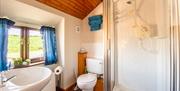 Double room and ensuite shower room at High Greenside Bed and Breakfast