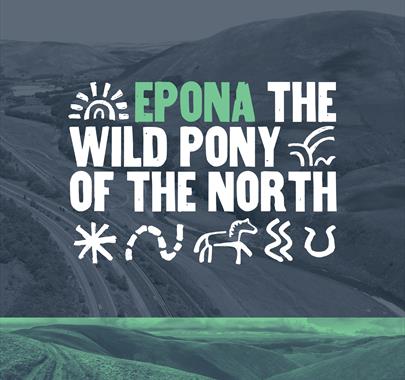 Epona: Wild Pony of the North