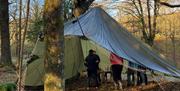 Building Shelter at Family Bushcraft with Graythwaite Adventure Near Hawkshead, Lake District